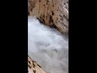 Benedetta caretta 2020 08 11 123935