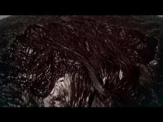 Max cooper molten landscapes (official video by cornus ammonis and morgan beringer)