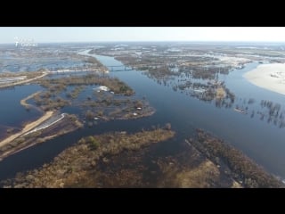 Як выглядае пераправа праз прыпяць новая дарога, паром, пантон і разбураны мост