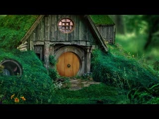 Schock meets iggy pop the sustainable sink