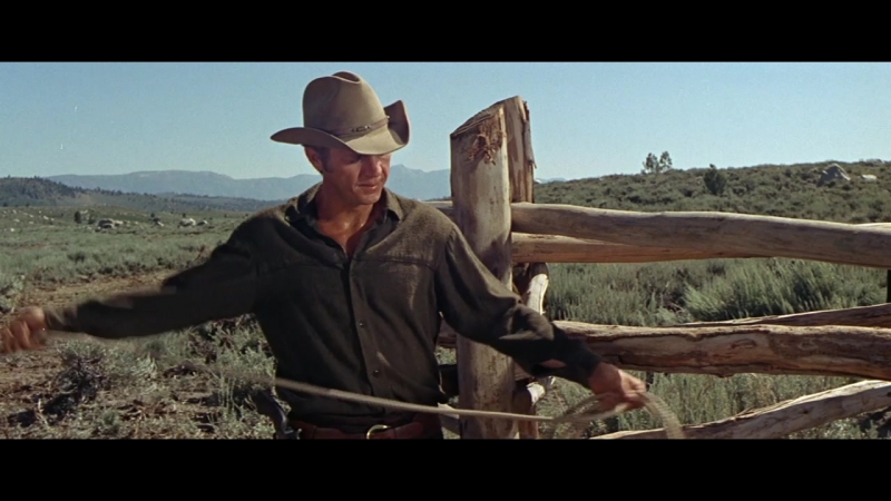 Невада смит 1966