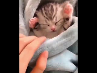 Остальных утопили