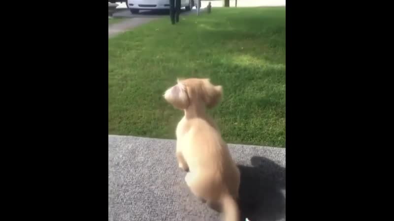 Милый ждун мой любимый человек вернулся)