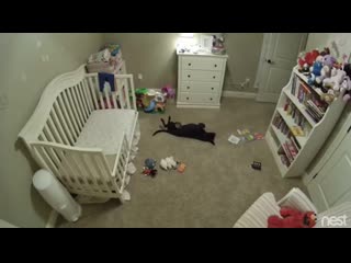 Pupper was banned from babys room, sneakiness ensues+