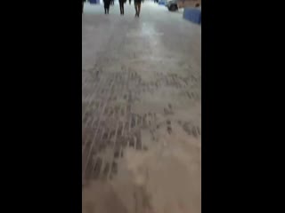 Видео от елизаветы сапегиной