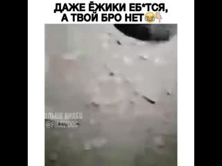 Fan hub video 20201116 38 mp4