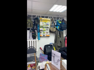 Live profishing dimon