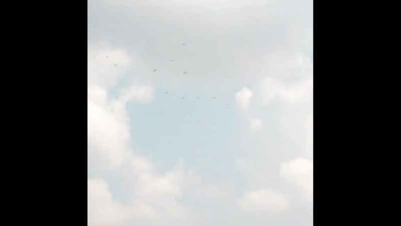Из инстаграма нила бломкампа № 23 (vultures circling a landfill actual african vultures)