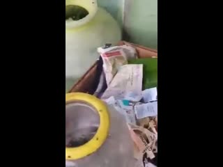 Достоет потомство из под воды