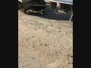 Всякое случается 🚚