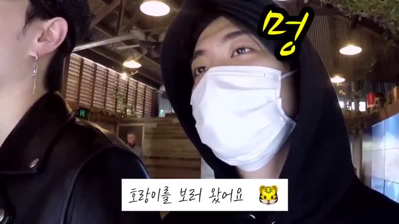 [vlog] 작년에 갔던 호주 그리고 마드리드 여행 뽐재 2jae paige 뽐재 2jae