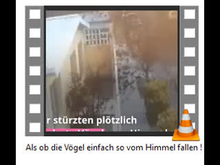 Als ob die vögel einfach so vom himmel fallen !