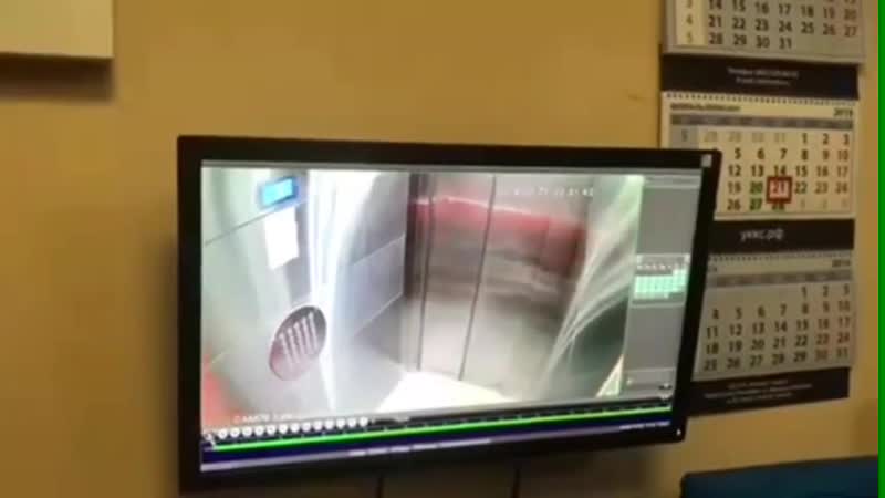 В петербурге в жк квартет объявился сексуальный маньяк