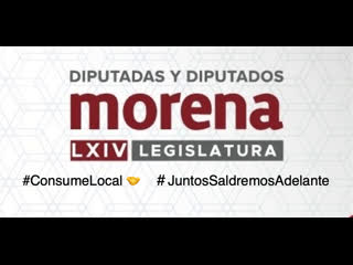 |🇲🇽 diputados morena #consumelocal 🤝 #juntossaldremosadelante