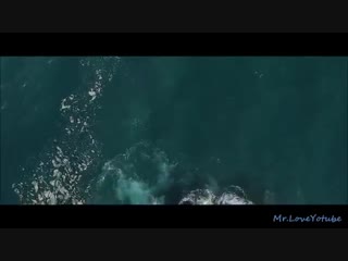 Megan kashat loyes (feat yunus durali)