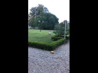 Piero barone instastory