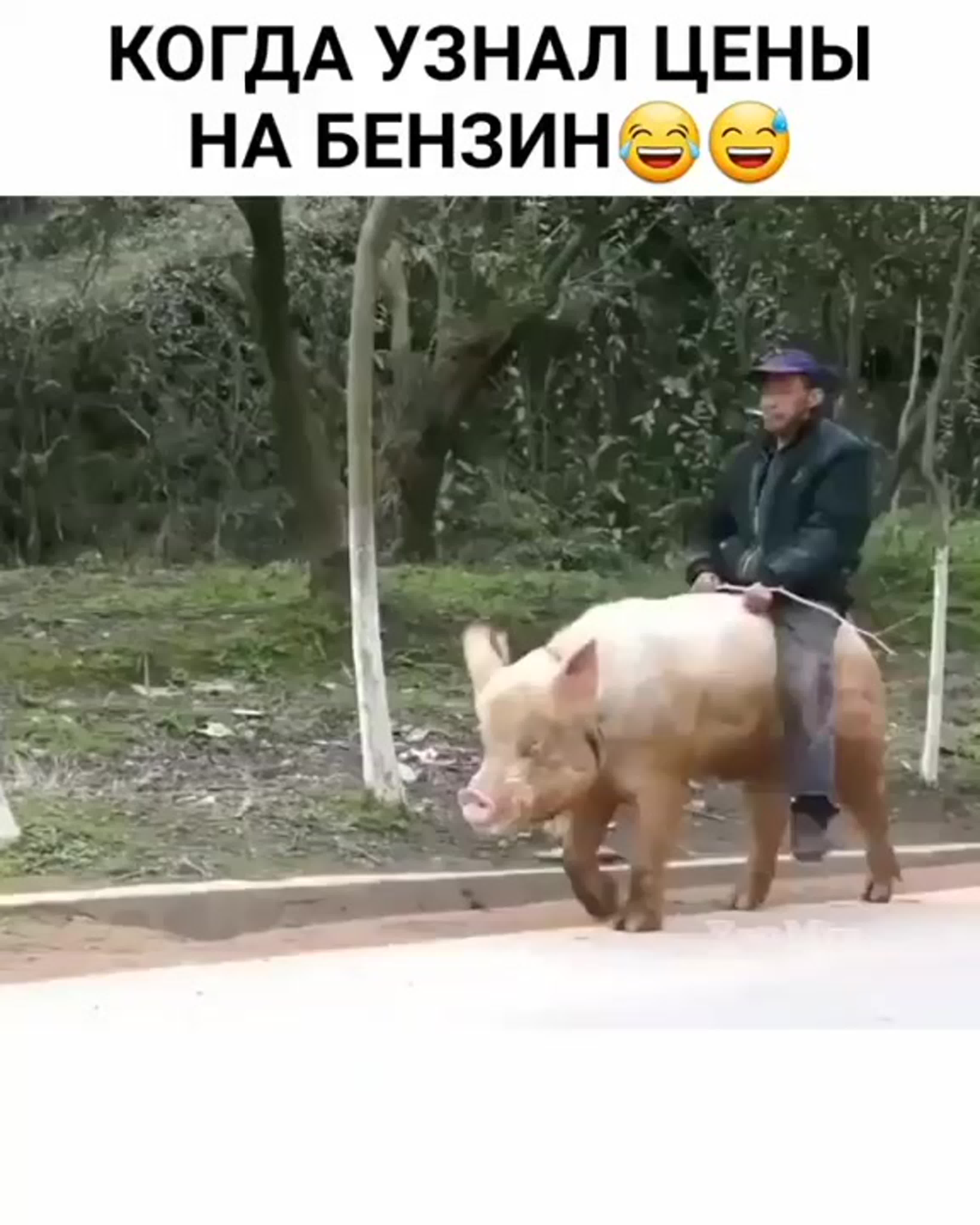 Прикол просто нюхает бензин😂 mp4 watch online