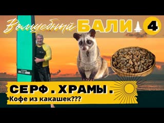 Бали 4 серф, храмы и кофе из какашек