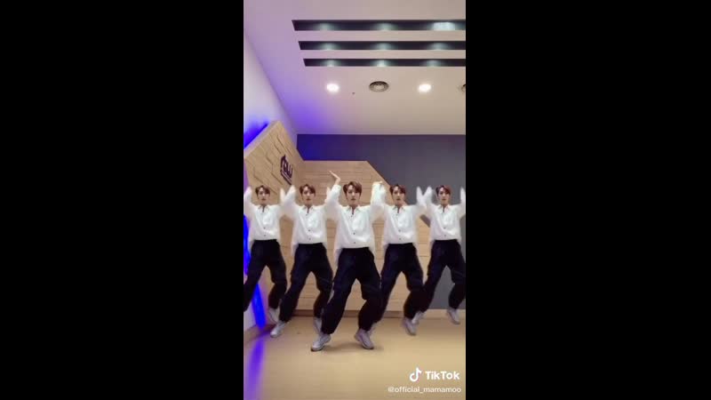 #mariachallenge @ tiktok