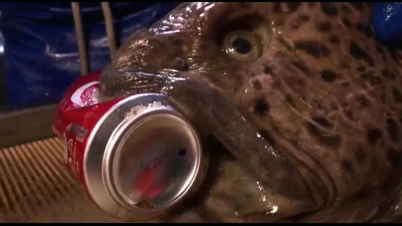 Бошку отрезали, а он все равно жрёт тварь