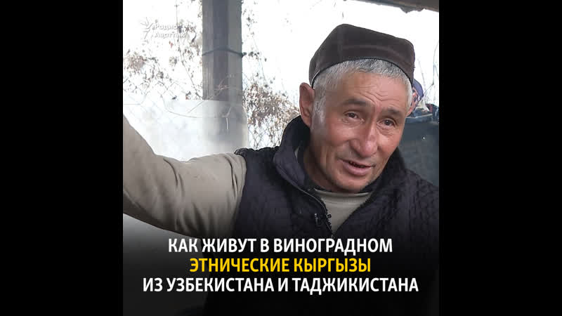 Как живут в виноградном этнические кыргызы из узбекистана и таджикистана
