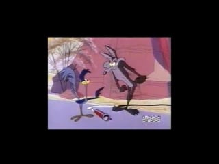 Road runner & wile e coyote by 14 hip hip hurry! [personnalisé 640x274 avc mp4]