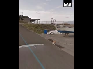 Пёсик (kagoshima, но это не точно) (vhs video)