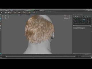 Tom newbury «xgen hair for characters» (part 5/11)