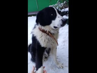 Video 20210105 101833 mp4