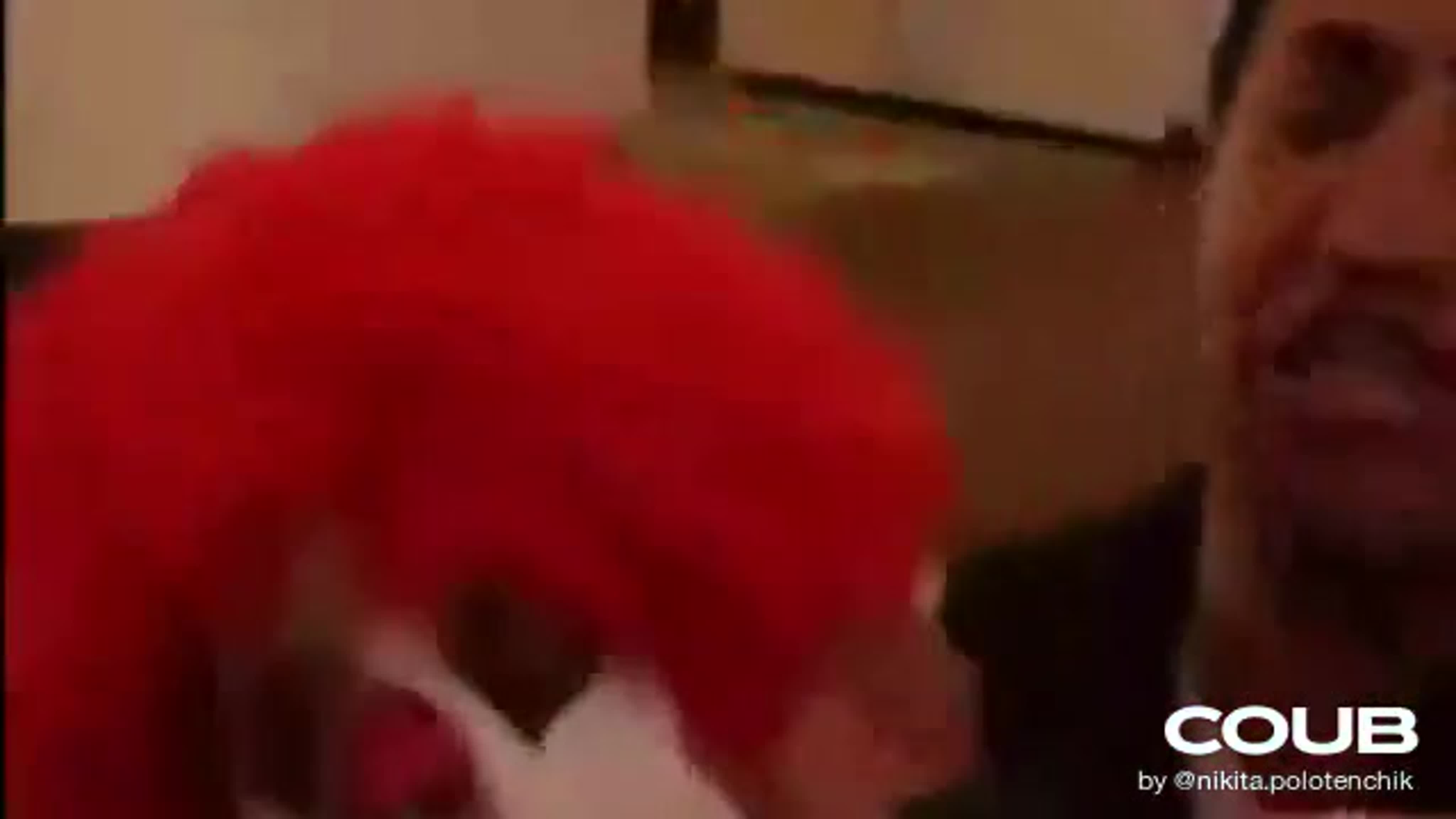 Ronald mcdonalds - BEST XXX TUBE