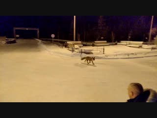 Подписывайся "отложу, чтобы потом поржать"