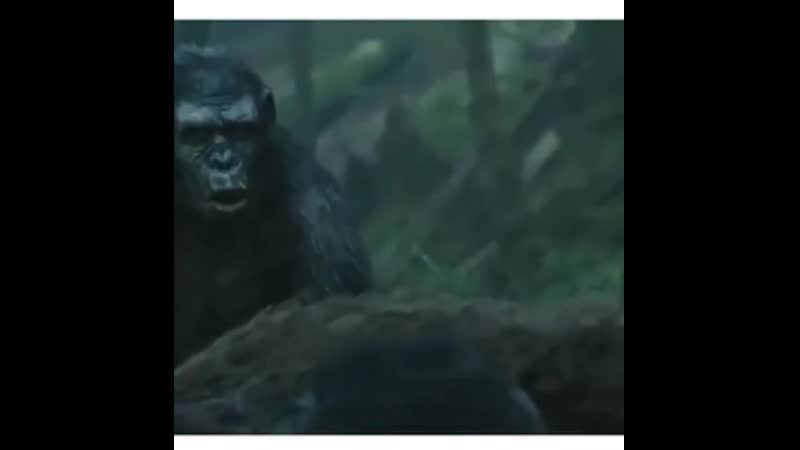 Ержан просыпайся