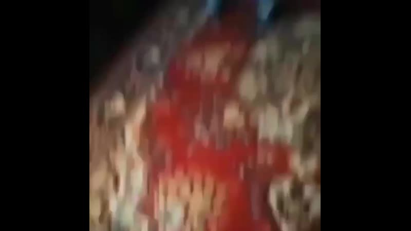 Vip tajiki mira 20200716 220113 0 mp4