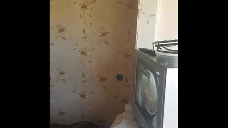 Политика porn video – Ох эта политика