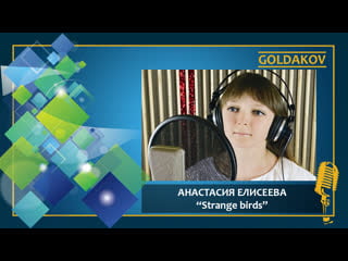 Анастасия елисеева "strange birds" (cover birdy)