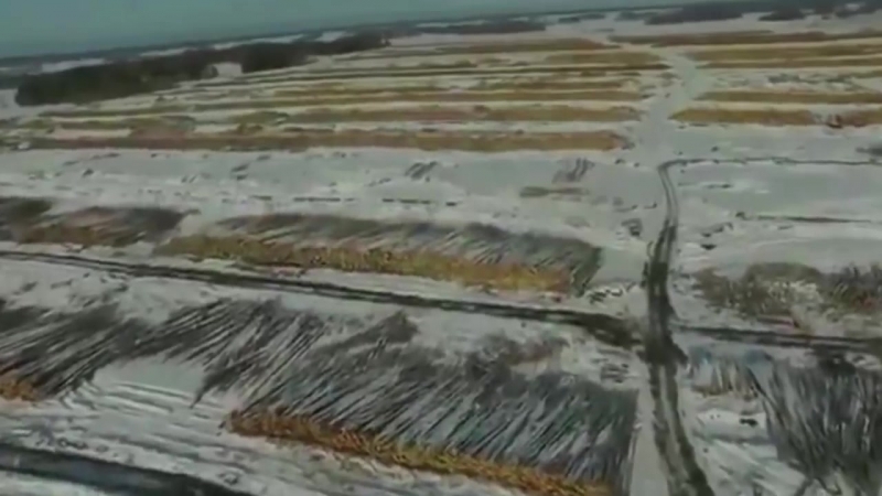 Самое патриотичное видео про сибирь и дальний восток