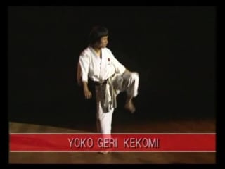 Yoko geri kekomi