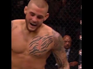 Dustin poirier разносит!