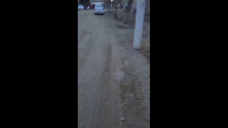 Live бухара | bukhara