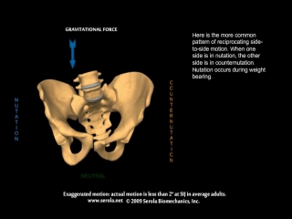 Reciprocating unilateral motion