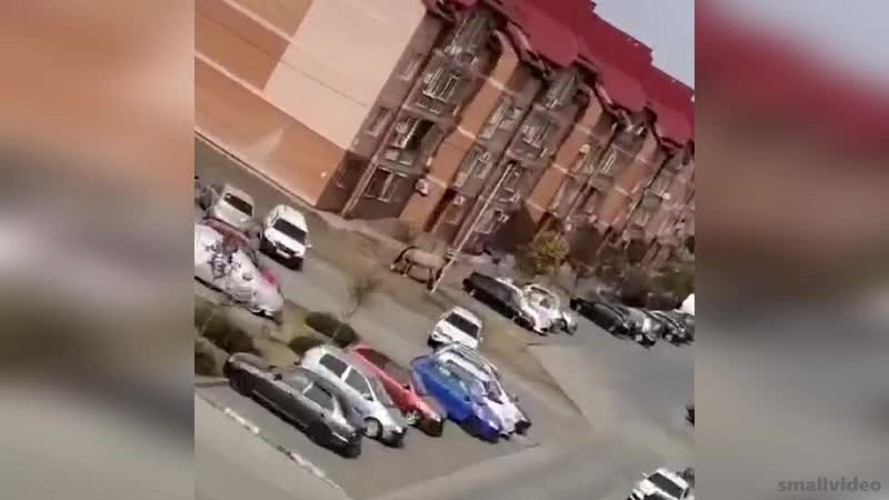 Хорошо что не убежала