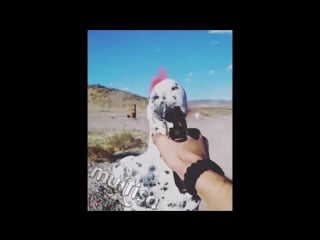 Шикарный выстрел #3042 (magnum)