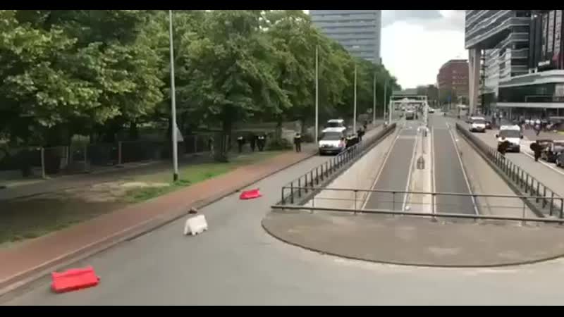 Полиция гааги