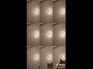 Mr sandman bring me a dream