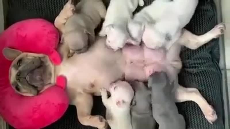 Кормящей маме достаётся