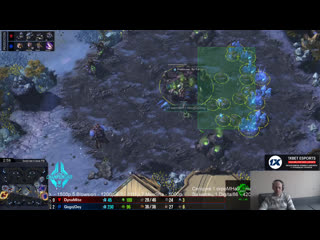 Live pomi starcraft (rox pomi)