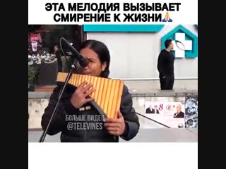 А какие эмоции вызывает у вас? 🎶🙏👇