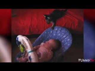 Cats and dogs are the best babysitters compilation 2015 funnytv