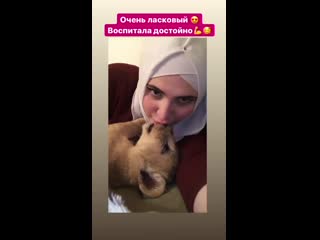 Блогерша в хиджабе поцеловала льва взасос