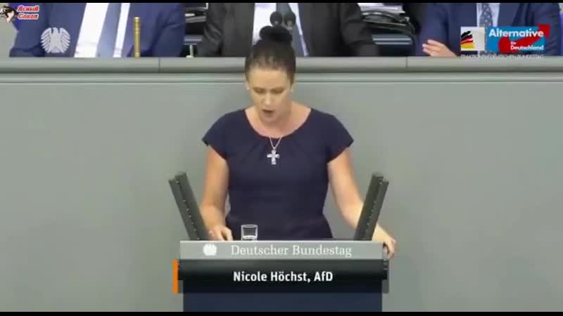 Депутат бундестага от партии альтернатива для германии рассказывает о деградации немецкого образования